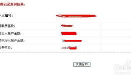 个人医疗保险查询个人账户,掌握个人医疗保险账户余额